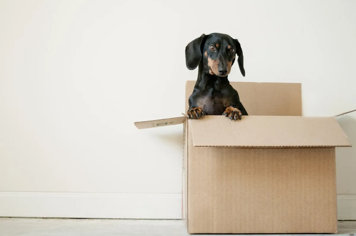 A cardboard moving box on a white surface, symbolizing relocation.